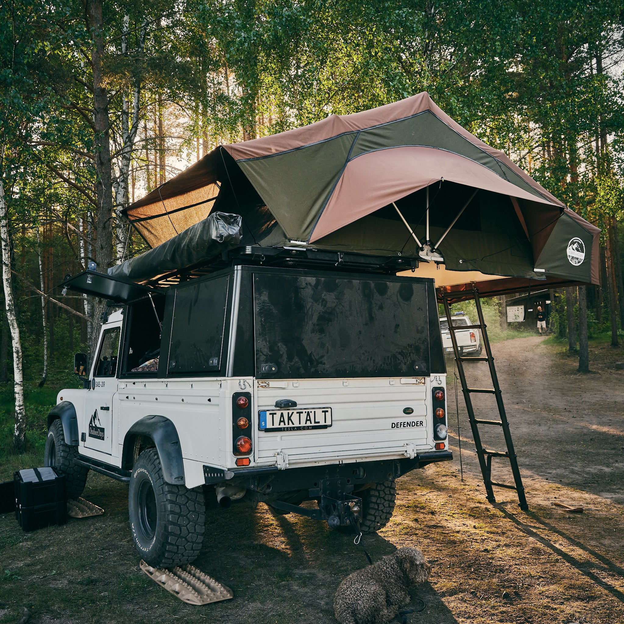 Expedition - Woodland Green