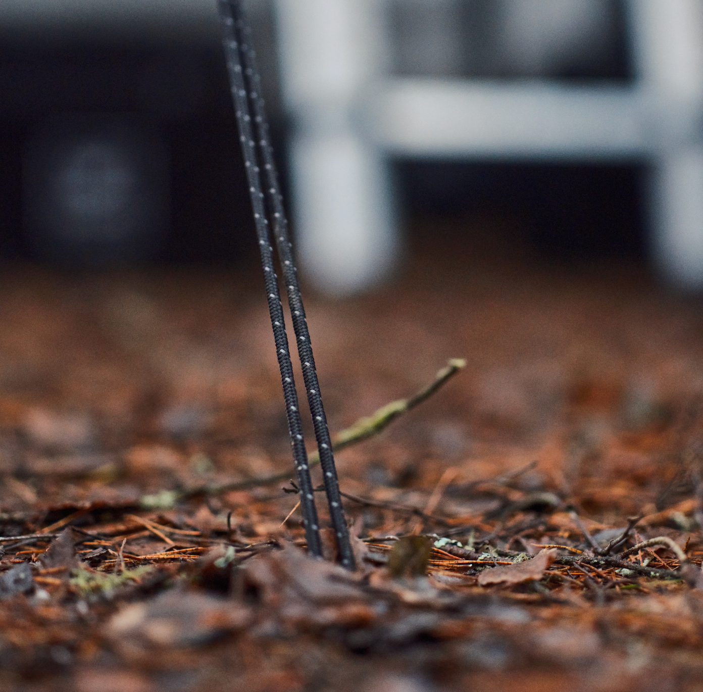 Tent line roof tent Reflex